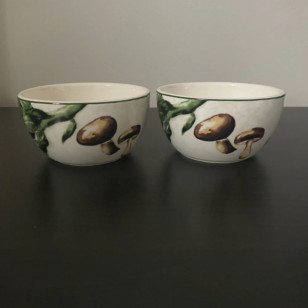 ⚡️SALE Pier 1 Imports Set of 2 Ironstone Fresco Small Bowls